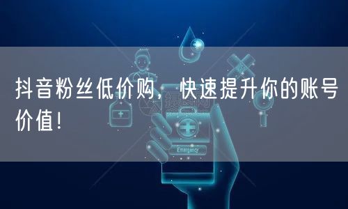 抖音粉丝低价购，快速提升你的账号价值！