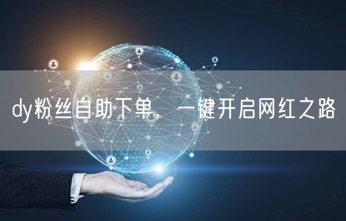 dy粉丝自助下单，一键开启网红之路