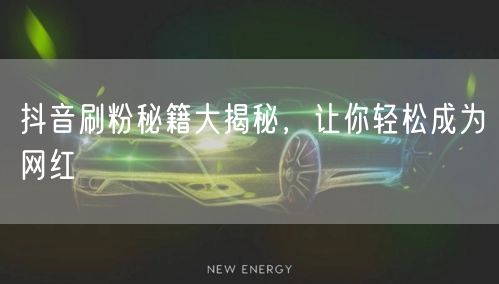 抖音刷粉秘籍大揭秘，让你轻松成为网红