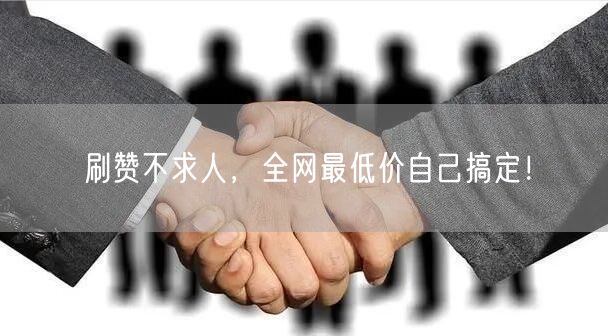 刷赞不求人，全网最低价自己搞定！