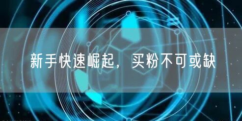 新手快速崛起，买粉不可或缺