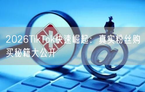 2026TikTok快速崛起：真实粉丝购买秘籍大公开
