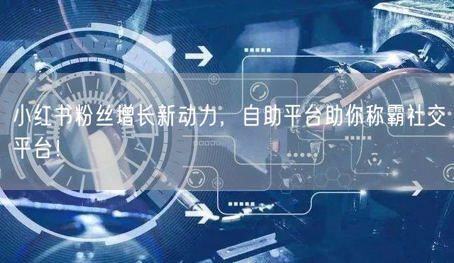 小红书粉丝增长新动力，自助平台助你称霸社交平台！