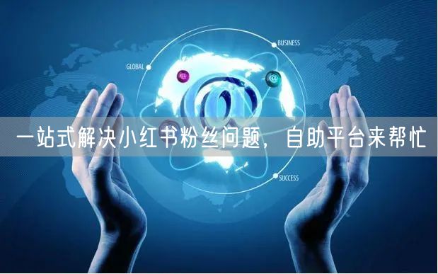 一站式解决小红书粉丝问题，自助平台来帮忙