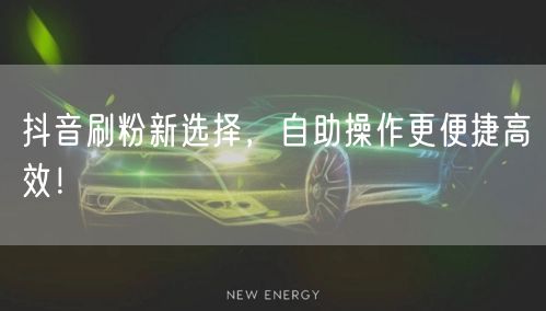 抖音刷粉新选择，自助操作更便捷高效！