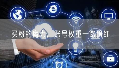 买粉的魔力，账号权重一路飘红