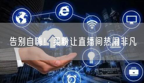 告别自嗨！买粉让直播间热闹非凡
