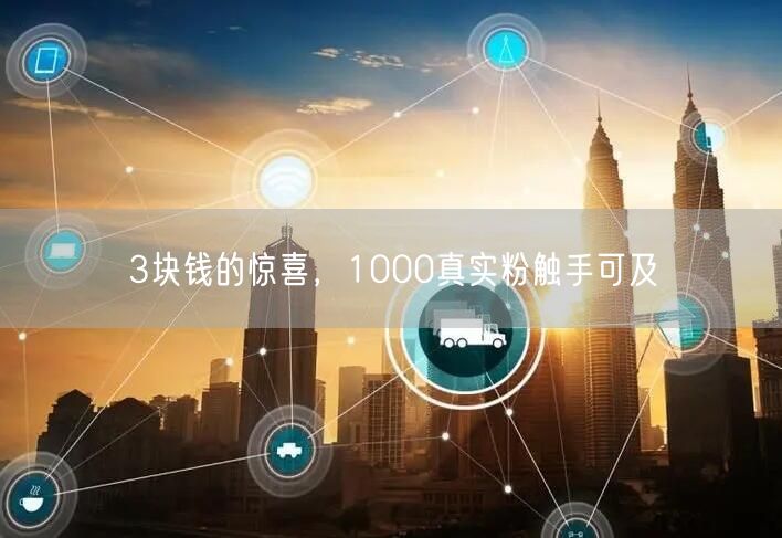 3块钱的惊喜，1000真实粉触手可及