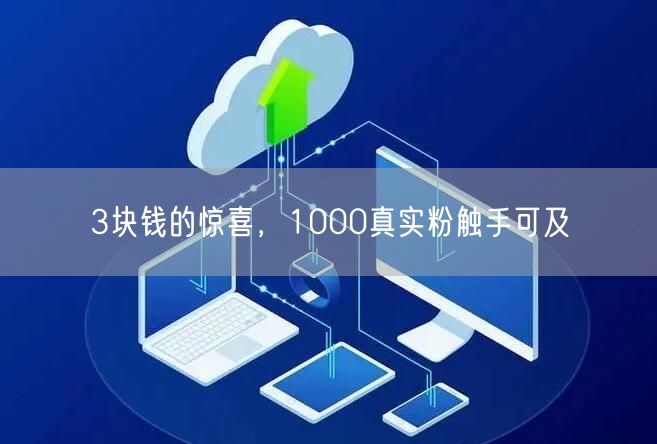 3块钱的惊喜，1000真实粉触手可及