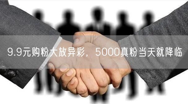 9.9元购粉大放异彩，5000真粉当天就降临