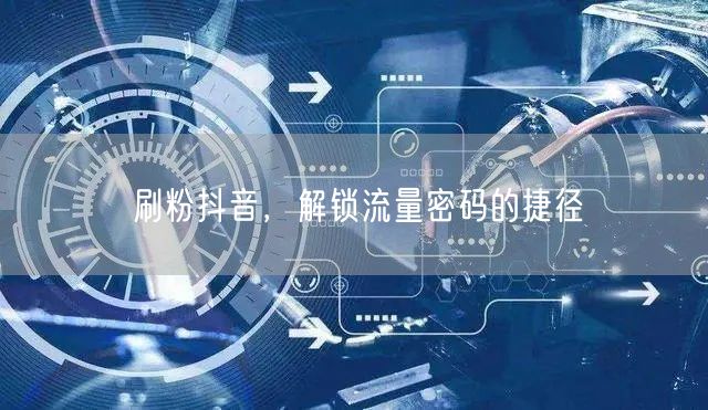 刷粉抖音，解锁流量密码的捷径