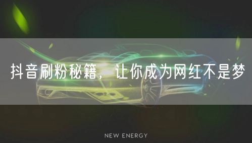 抖音刷粉秘籍，让你成为网红不是梦