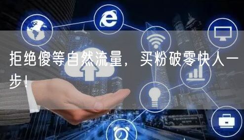 拒绝傻等自然流量，买粉破零快人一步！