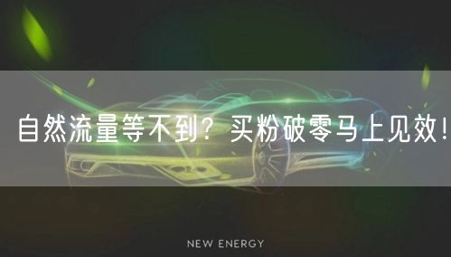 自然流量等不到？买粉破零马上见效！