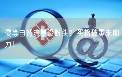 傻等自然流量没盼头？买粉破零来助力！