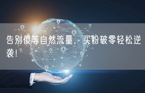 告别傻等自然流量，买粉破零轻松逆袭！