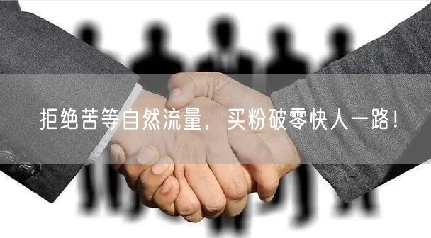 拒绝苦等自然流量，买粉破零快人一路！