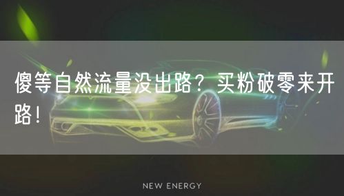 傻等自然流量没出路？买粉破零来开路！
