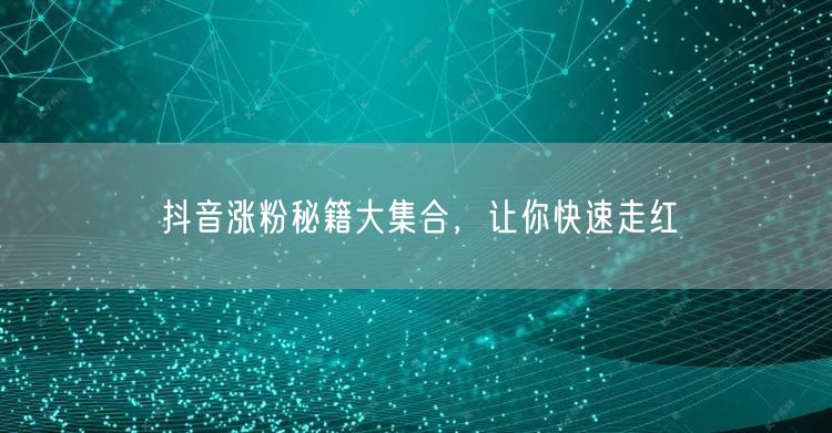 抖音涨粉秘籍大集合，让你快速走红