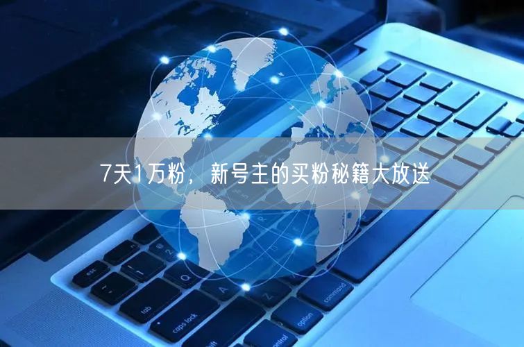 7天1万粉，新号主的买粉秘籍大放送