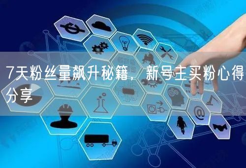 7天粉丝量飙升秘籍，新号主买粉心得分享
