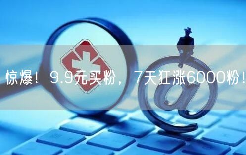 惊爆！9.9元买粉，7天狂涨6000粉！