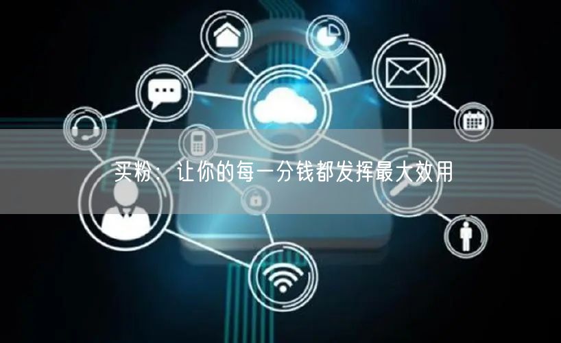 买粉：让你的每一分钱都发挥最大效用