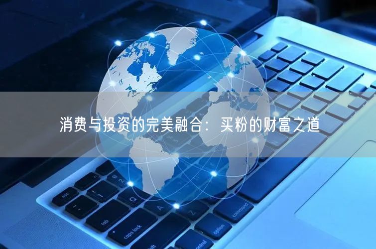 消费与投资的完美融合：买粉的财富之道