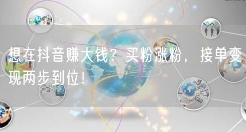 想在抖音赚大钱？买粉涨粉，接单变现两步到位！