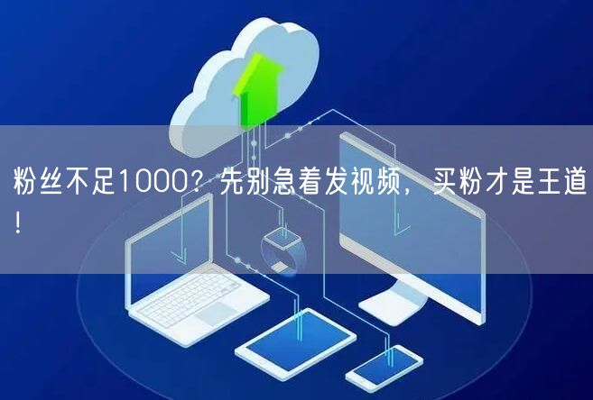 粉丝不足1000？先别急着发视频，买粉才是王道！