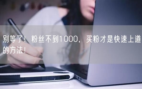 别等了！粉丝不到1000，买粉才是快速上道的方法！
