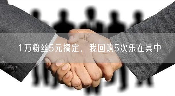 1万粉丝5元搞定，我回购5次乐在其中