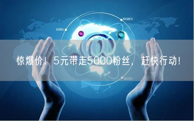 惊爆价！5元带走5000粉丝，赶快行动！