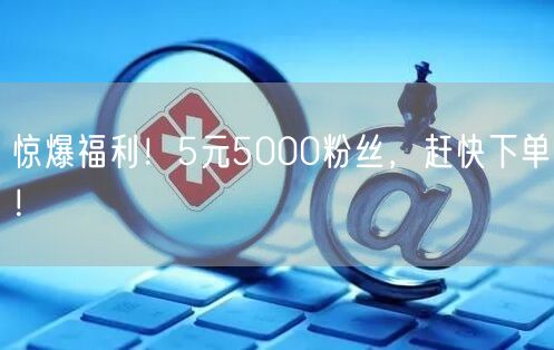 惊爆福利！5元5000粉丝，赶快下单！