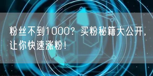 粉丝不到1000？买粉秘籍大公开，让你快速涨粉！