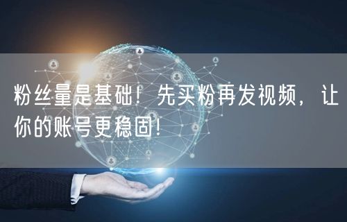粉丝量是基础！先买粉再发视频，让你的账号更稳固！