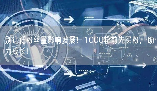 别让低粉丝量影响发展！1000粉前先买粉，助力成长！