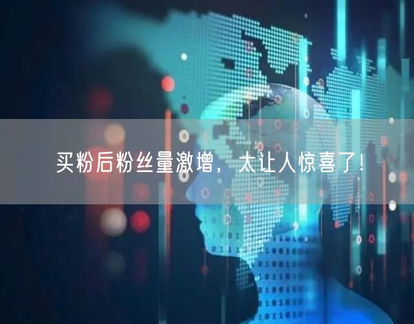 买粉后粉丝量激增，太让人惊喜了！