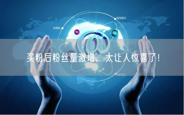 买粉后粉丝量激增，太让人惊喜了！