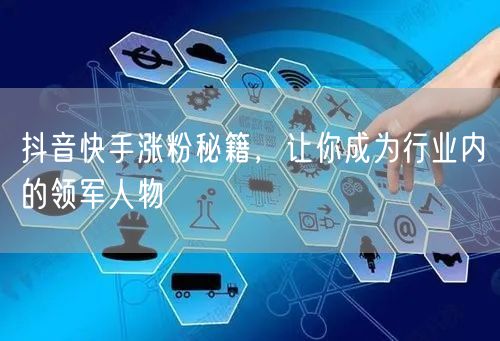 抖音快手涨粉秘籍，让你成为行业内的领军人物