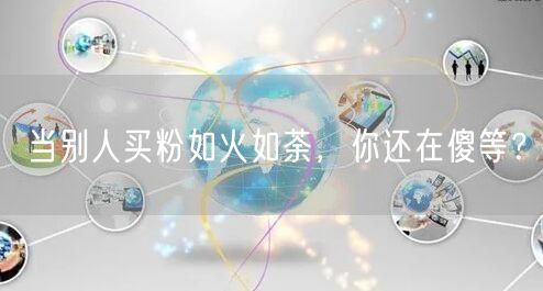 当别人买粉如火如荼，你还在傻等？