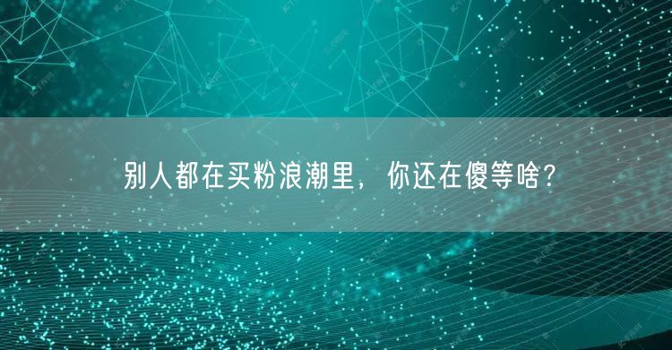 别人都在买粉浪潮里，你还在傻等啥？