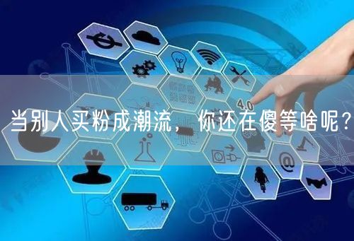 当别人买粉成潮流，你还在傻等啥呢？