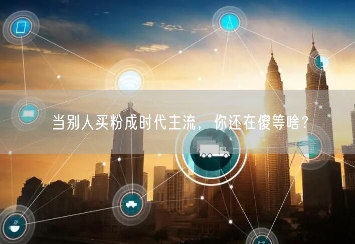 当别人买粉成时代主流，你还在傻等啥？