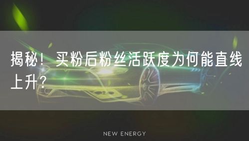 揭秘！买粉后粉丝活跃度为何能直线上升？