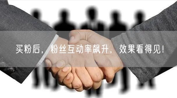 买粉后，粉丝互动率飙升，效果看得见！