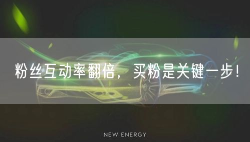粉丝互动率翻倍，买粉是关键一步！