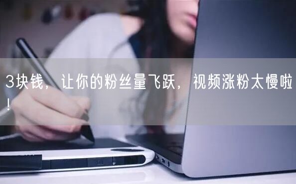 3块钱，让你的粉丝量飞跃，视频涨粉太慢啦！