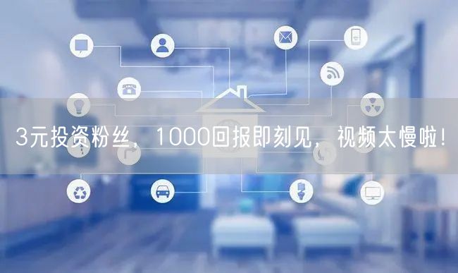 3元投资粉丝，1000回报即刻见，视频太慢啦！