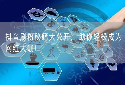 抖音刷粉秘籍大公开，助你轻松成为网红大咖！